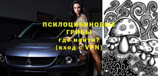 твердый Володарск