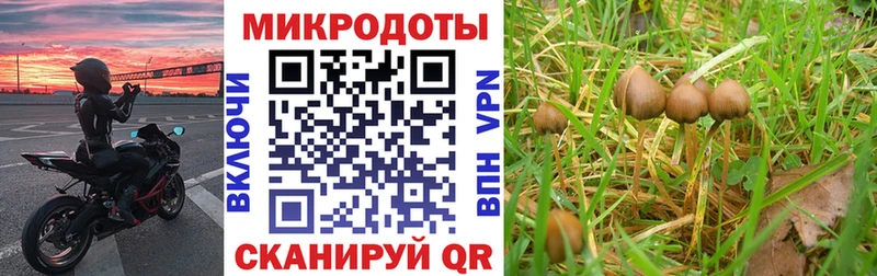 Псилоцибиновые грибы Magic Shrooms  сколько стоит  MEGA tor  Сретенск 